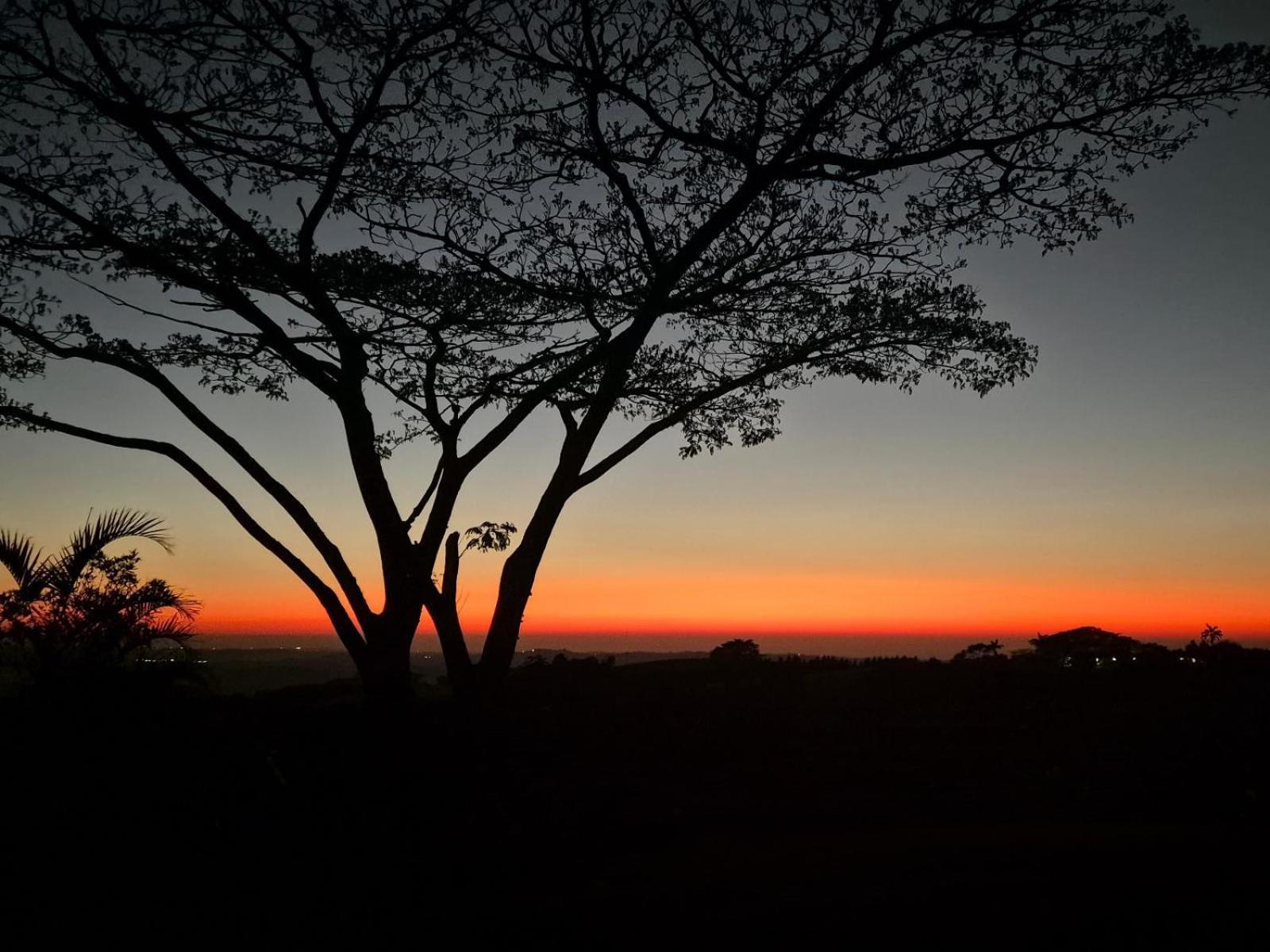 Silverstreams Lodge, Villas & Cottages, Oribi Gorge Glendale Cameră foto